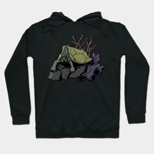 Ancient Turtle Skull Design Hoodie